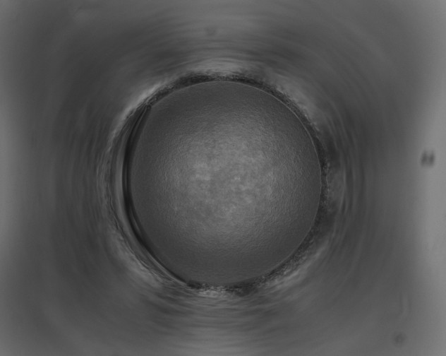 X0000097760399200803071259