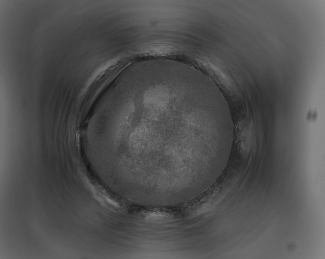 X0000097760400200803071259