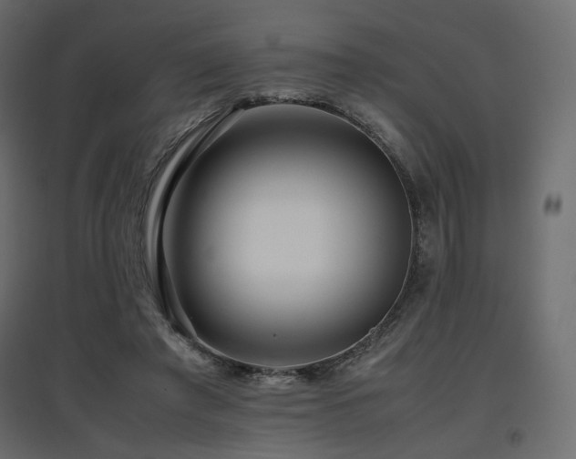 X0000097760401200803071259