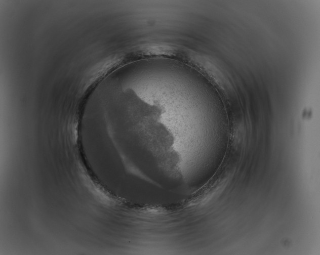 X0000097760402200803071259