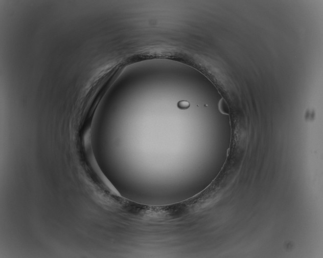 X0000097760403200803071259