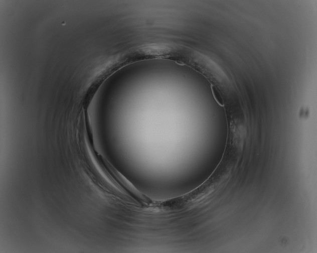 X0000097760404200803071259