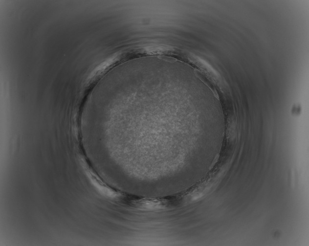 X0000097760405200803071259