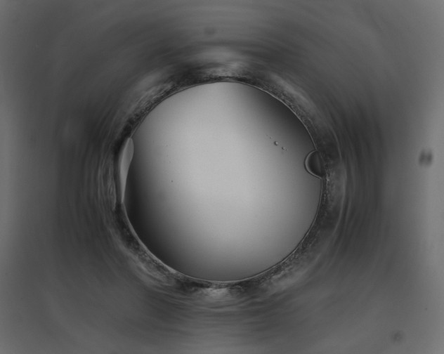 X0000097760406200803071259