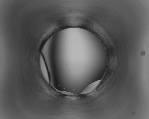 X0000097760407200803071259