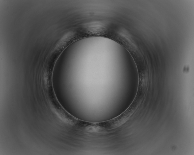 X0000097760408200803071259