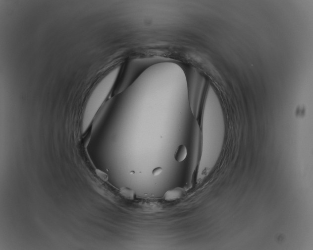 X0000097760409200803071259