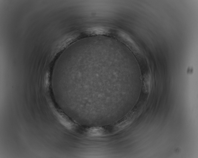 X0000097760410200803071259