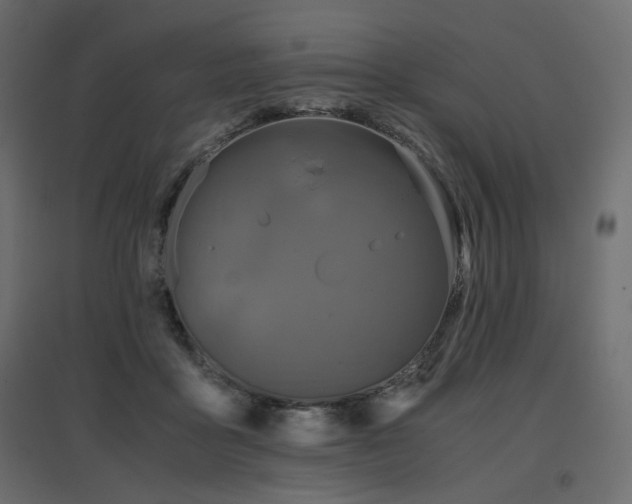 X0000097760411200803071259