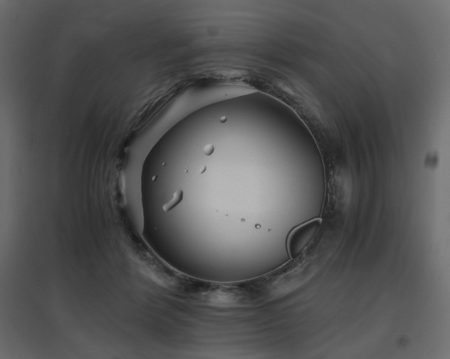 X0000097760412200803071259