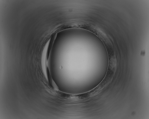 X0000097760413200803071259