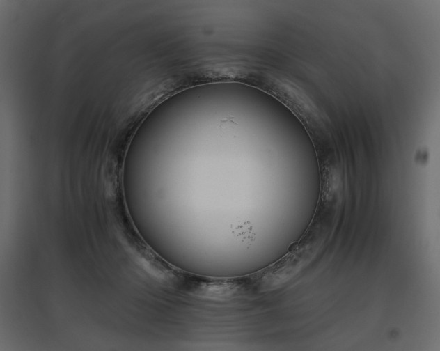 X0000097760414200803071259