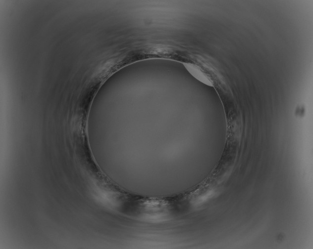 X0000097760415200803071259