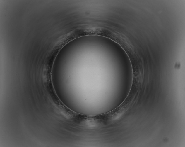 X0000097760416200803071259