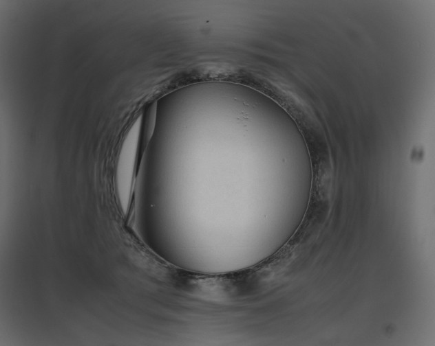 X0000097760417200803071259