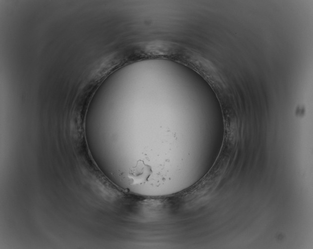 X0000097760418200803071259