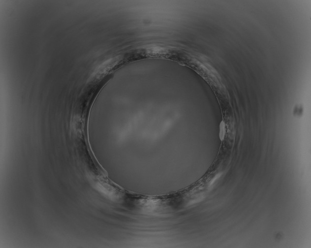 X0000097760419200803071259