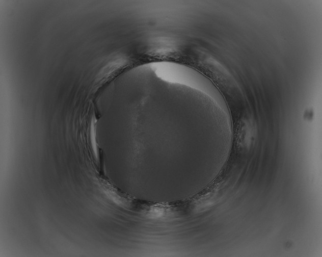 X0000097760420200803071259