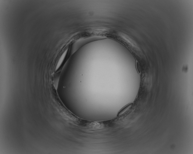 X0000097760421200803071259