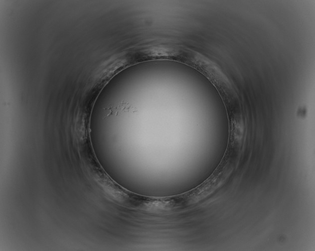 X0000097760422200803071259