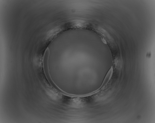 X0000097760423200803071259