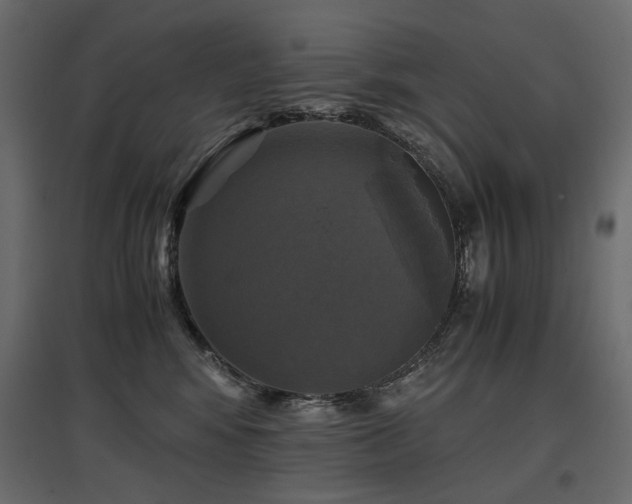 X0000097760424200803071259