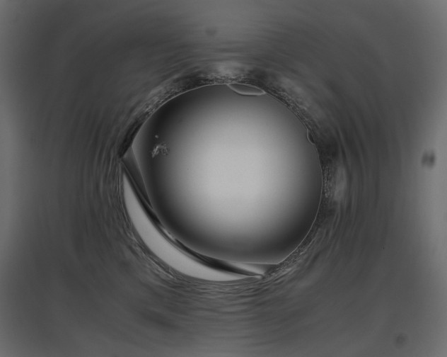 X0000097760425200803071259