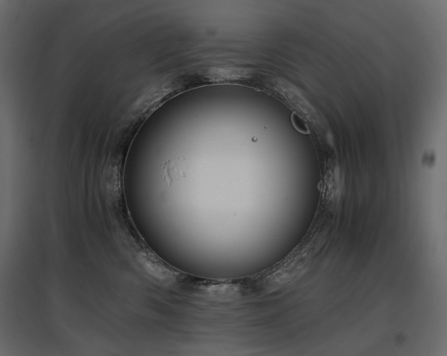 X0000097760426200803071259