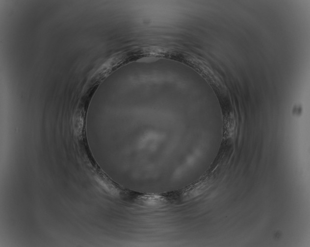 X0000097760427200803071259