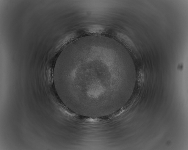 X0000097760428200803071259