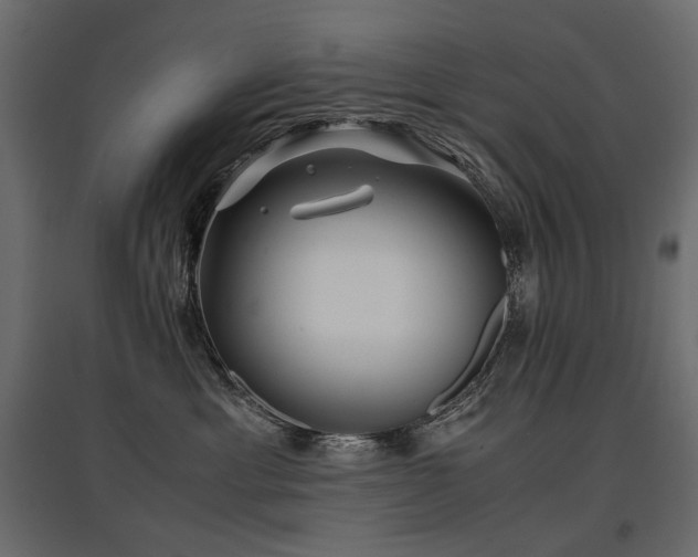 X0000097760429200803071259