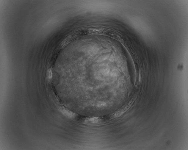 X0000097760431200803071259