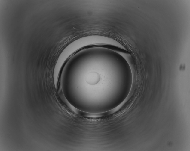 X0000097760432200803071259