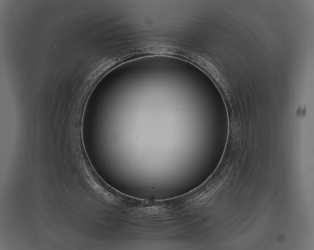 X0000097760433200803071258