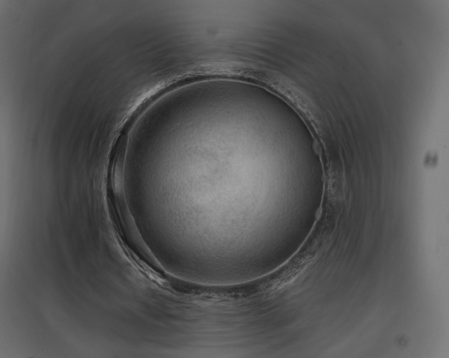 X0000097760434200803071258