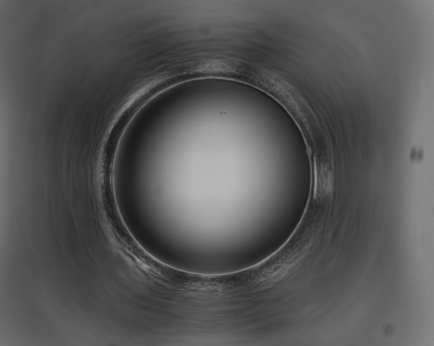 X0000097760435200803071258