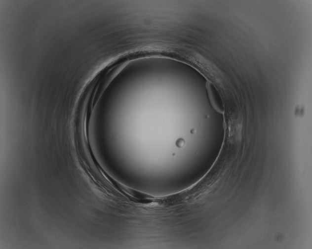 X0000097760436200803071258