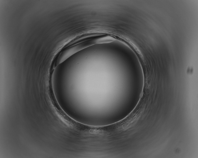 X0000097760437200803071258