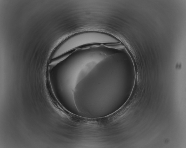 X0000097760438200803071258