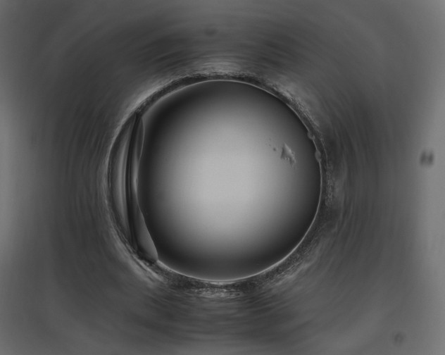 X0000097760439200803071258