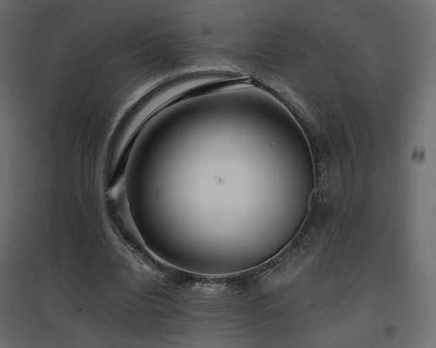 X0000097760440200803071258