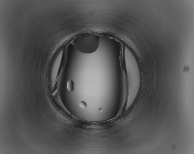 X0000097760444200803071258