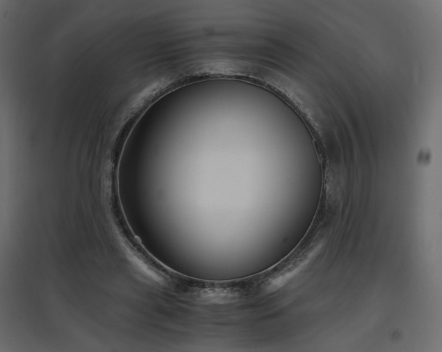 X0000097760445200803071258