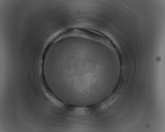 X0000097760446200803071258