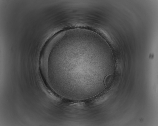 X0000097760447200803071259