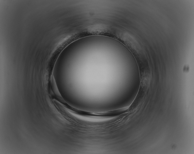 X0000097760448200803071259