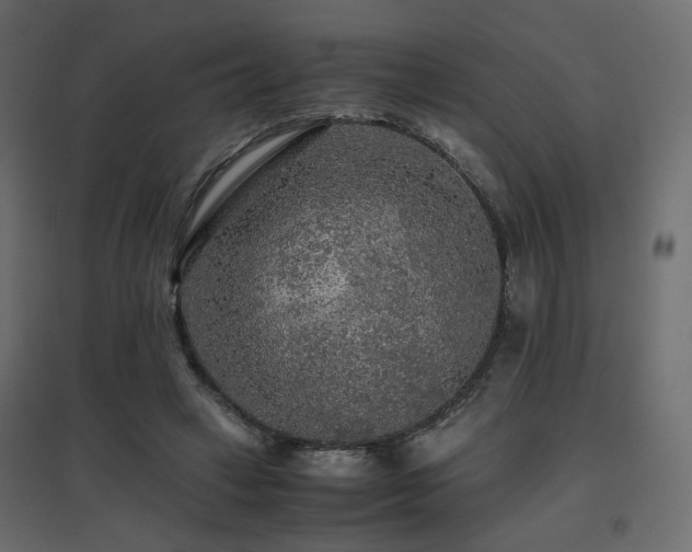 X0000097760449200803071259