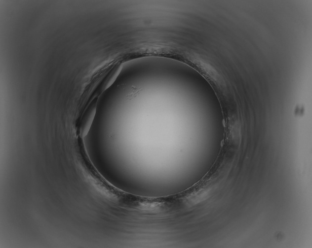 X0000097760450200803071259