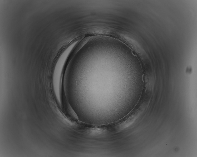 X0000097760453200803071259