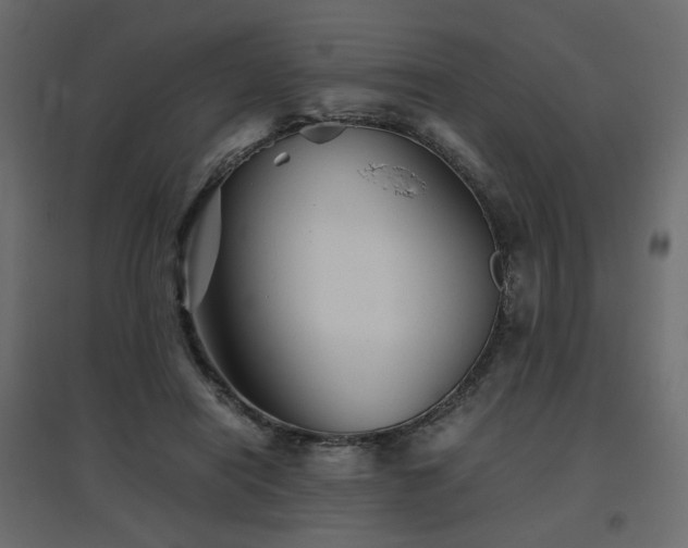 X0000097760454200803071259